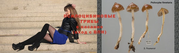 крисы Алексин
