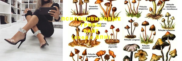 крисы Алексин