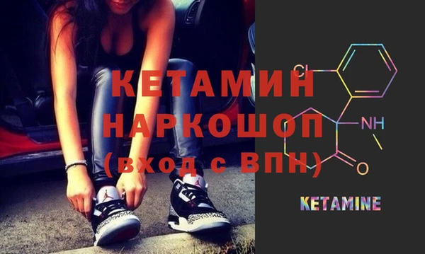 крисы Алексин