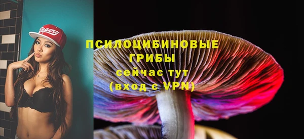 2c-b Алзамай