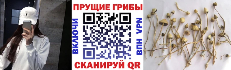 Галлюциногенные грибы GOLDEN TEACHER Катав-Ивановск